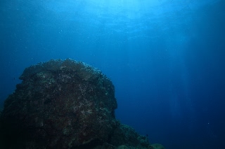 「無題」のサムネイル画像