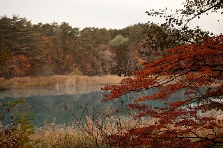 「弁天沼」のサムネイル画像