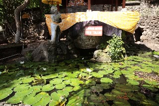 「無題」のサムネイル画像