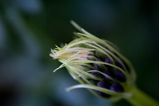 「無題」のサムネイル画像