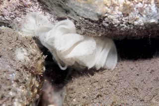 「無題」のサムネイル画像