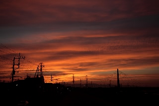 「無題」のサムネイル画像