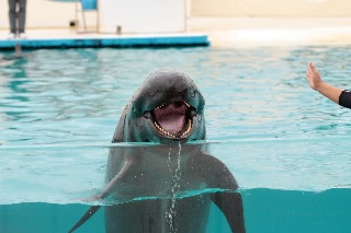 「無題」のサムネイル画像