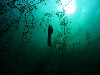 「ぶら〜ん」のサムネイル画像