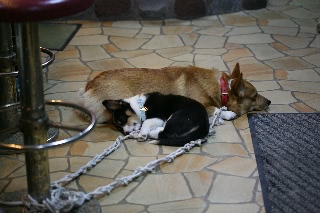 「じゃじゃ丸＆スルガ」のサムネイル画像