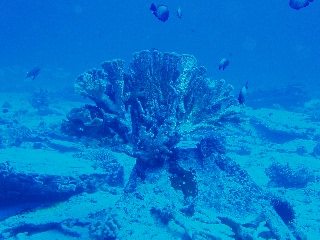 「無題」のサムネイル画像