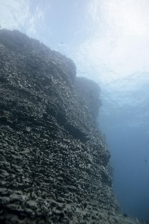 「無題」のサムネイル画像