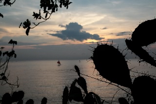 「無題」のサムネイル画像