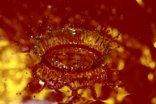 「ウォータークラウン」のサムネイル画像