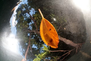 「無題」のサムネイル画像