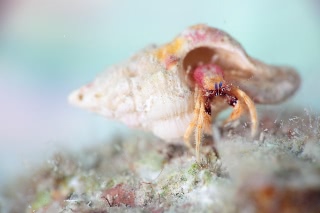 「無題」のサムネイル画像