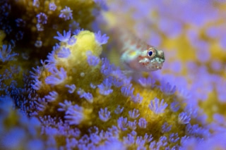 「無題」のサムネイル画像