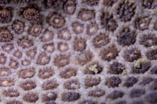 「無題」のサムネイル画像