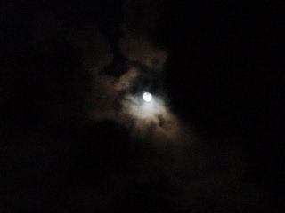 「無題」のサムネイル画像