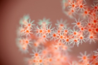 「無題」のサムネイル画像