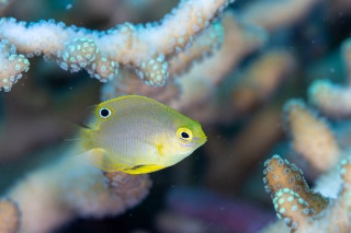 「無題」のサムネイル画像
