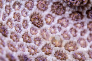 「無題」のサムネイル画像