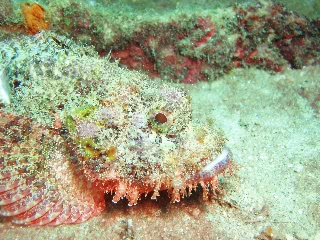 「無題」のサムネイル画像