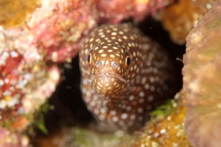 「無題」のサムネイル画像