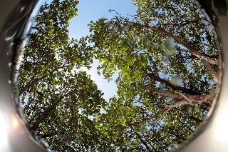 「無題」のサムネイル画像