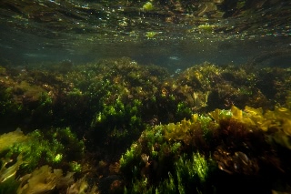 「無題」のサムネイル画像