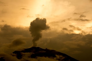 「無題」のサムネイル画像