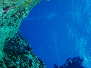 「海底洞窟」のサムネイル画像
