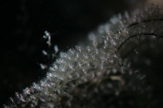 「無題」のサムネイル画像