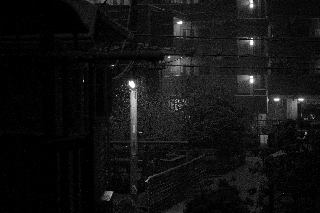 「雪化粧」のサムネイル画像