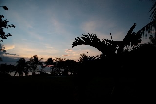 「無題」のサムネイル画像