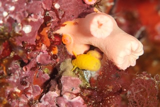 「無題」のサムネイル画像