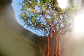 「無題」のサムネイル画像