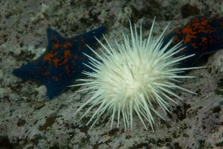 「無題」のサムネイル画像