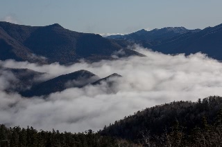 「無題」のサムネイル画像