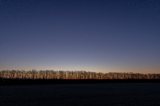 「ハルニレの木」のサムネイル画像