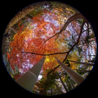 「無題」のサムネイル画像