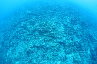 「無題」のサムネイル画像