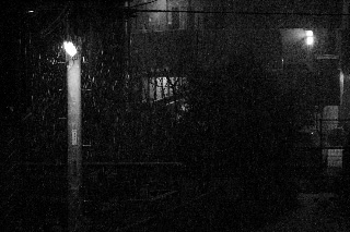 「雪化粧」のサムネイル画像