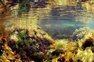 「無題」のサムネイル画像