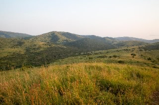 「無題」のサムネイル画像