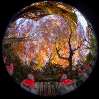 「無題」のサムネイル画像