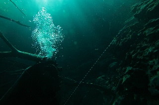 「無題」のサムネイル画像