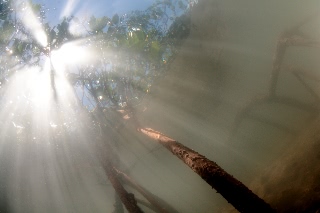 「無題」のサムネイル画像