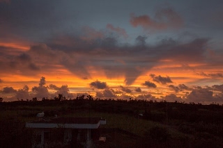「無題」のサムネイル画像