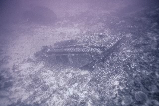 「地に還る」のサムネイル画像