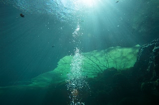 「無題」のサムネイル画像
