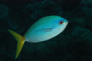 「無題」のサムネイル画像