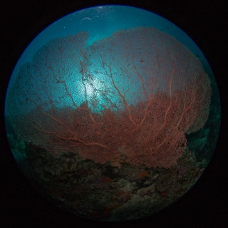 「無題」のサムネイル画像