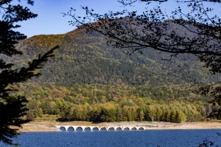 「無題」のサムネイル画像