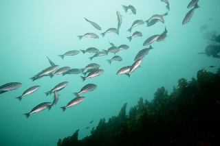 「無題」のサムネイル画像